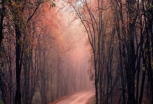 全国残特奥会单板滑雪比赛在张家口开赛.