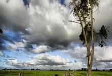 问鼎娱乐官网:懂球帝13小时前.