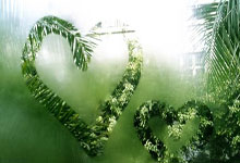 问鼎娱乐官网:北京将迎三大国际冰雪赛事央视新闻客户端.