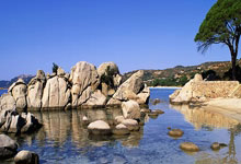 问鼎娱乐官网:帕加宁:国米设置夺冠奖金是很好的推动力 对阵.